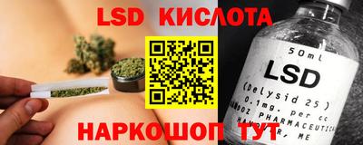 гидра Будённовск