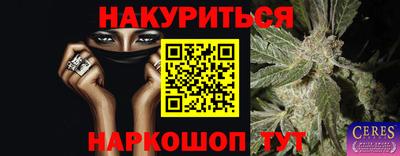 гидра Будённовск